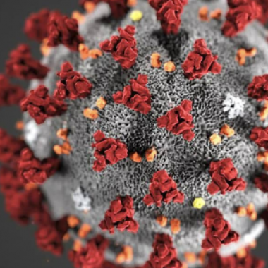 Kuva koronaviruksesta.