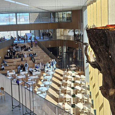 Karin kampuksen kevään valossa kylpevä aulatila ylätasanteelta kuvattuna.