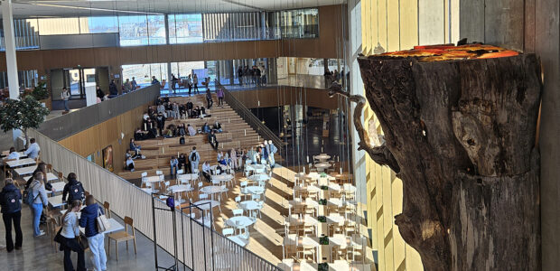 Karin kampuksen kevään valossa kylpevä aulatila ylätasanteelta kuvattuna.